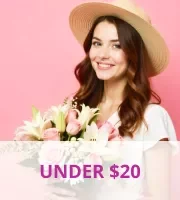 under $20
