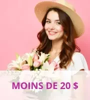 Moins de 20 $
