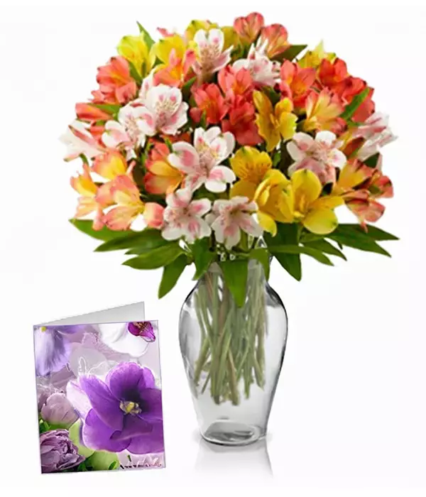 100 fleurs d'Alstroemeria I