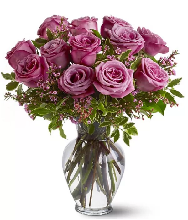 12 Roses Lavande