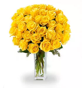Three Dozen Long Stemmed Yellow Roses