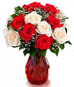 One Dozen Candy Cane Roses