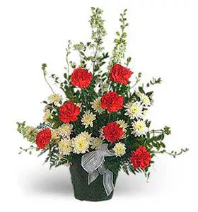 Red & White Tribute