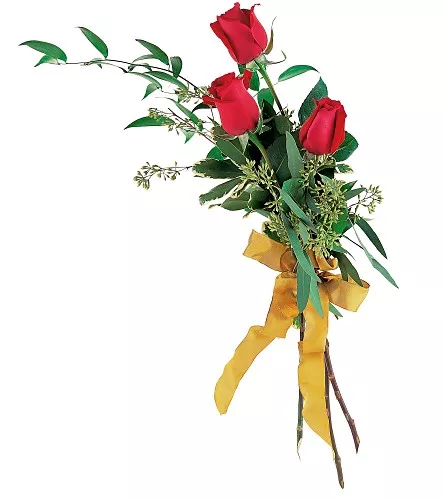 Touch Of Red Roses