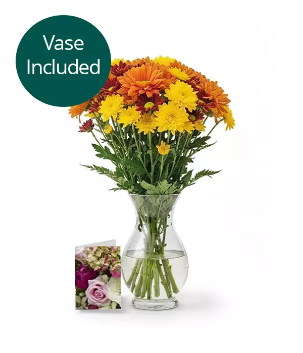 Collection de Fleurs d'Automne lll