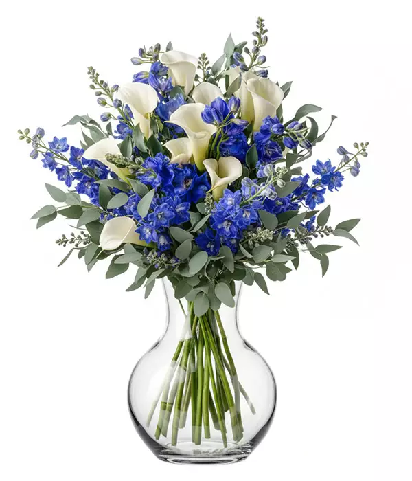 Blue and White Joy