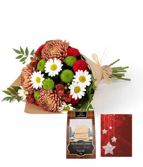 Christmas Designer Collection I