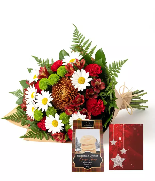 Collection du Concepteur de Noël III