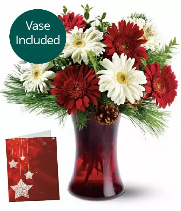 Christmas Stars Bouquet