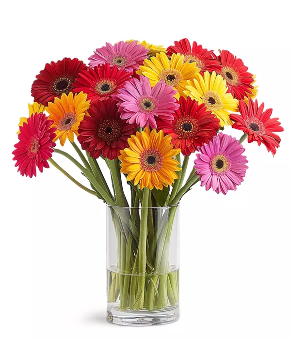 Bouquet arc-en-ciel de gerberas classique