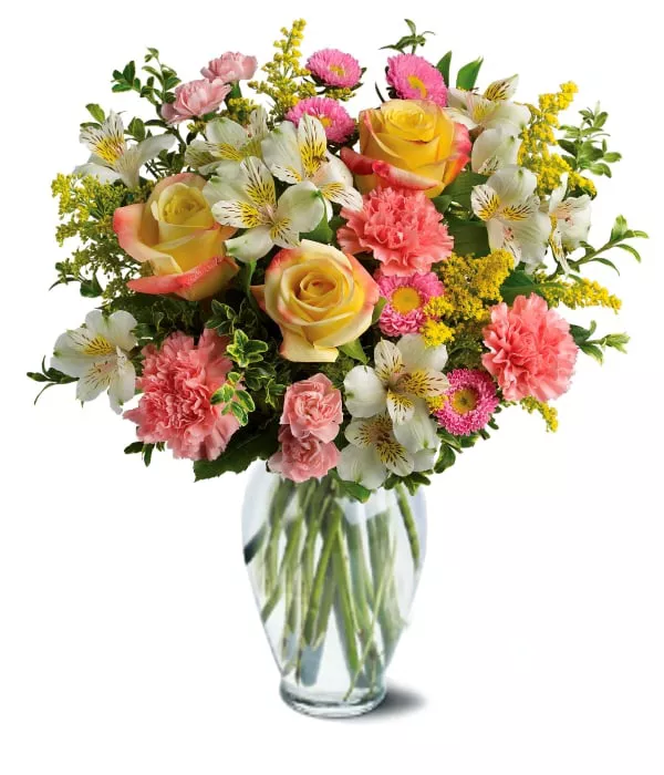 Collection Concepteur de Anniversaire III 