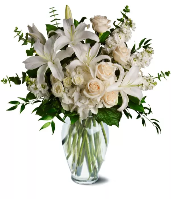Designer Sympathy Collection II