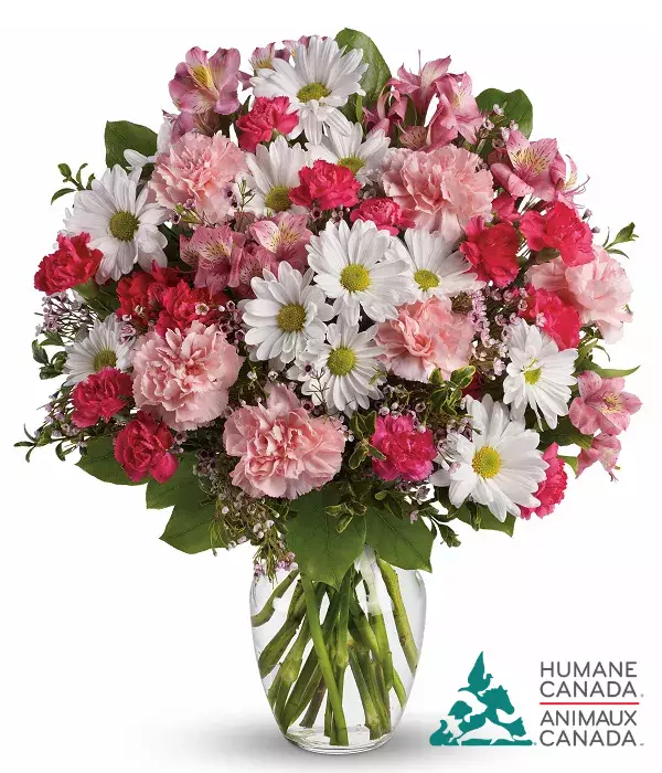 Humane Canada Collection IV