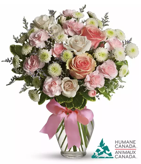 Humane Canada Collection V