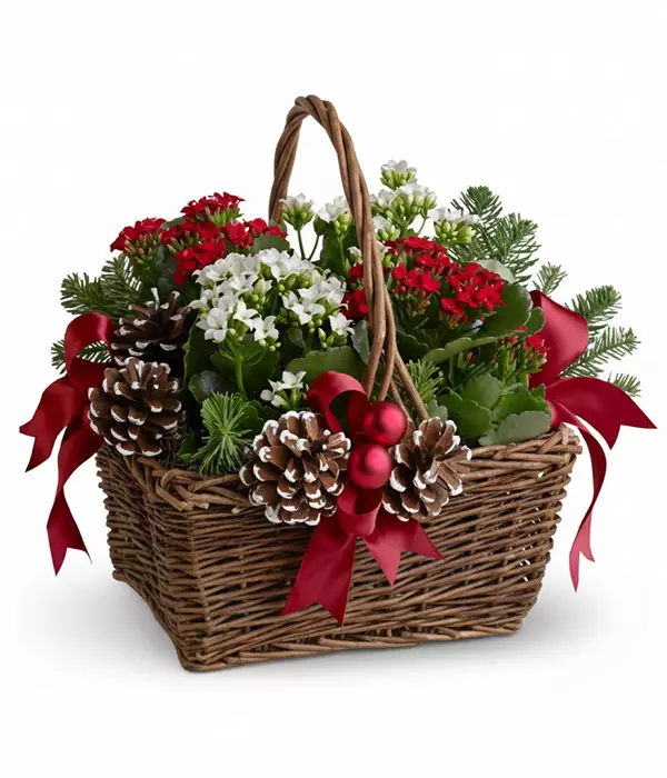 Panier de jardinière Joyeux Noel