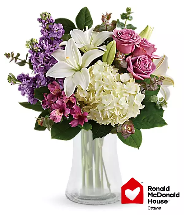 RMCHO Collection VII