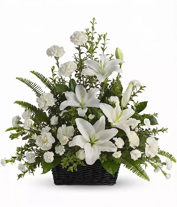 Peaceful White Lilies