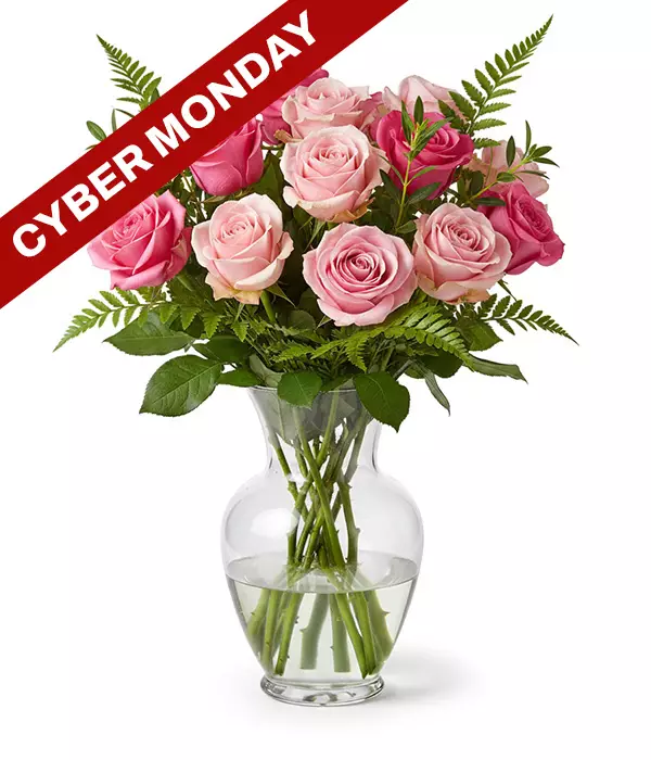 One Dozen Long Stemmed Pink Roses