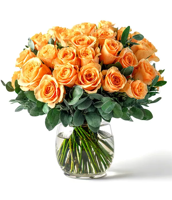Three Dozen Long Stem Orange Roses