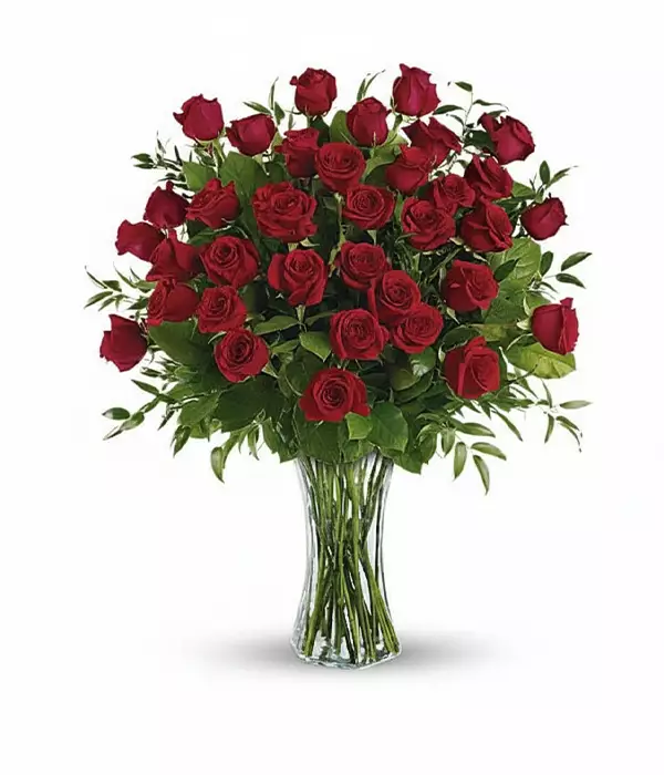 Trois Douzaines Roses Rouges Longue Tige