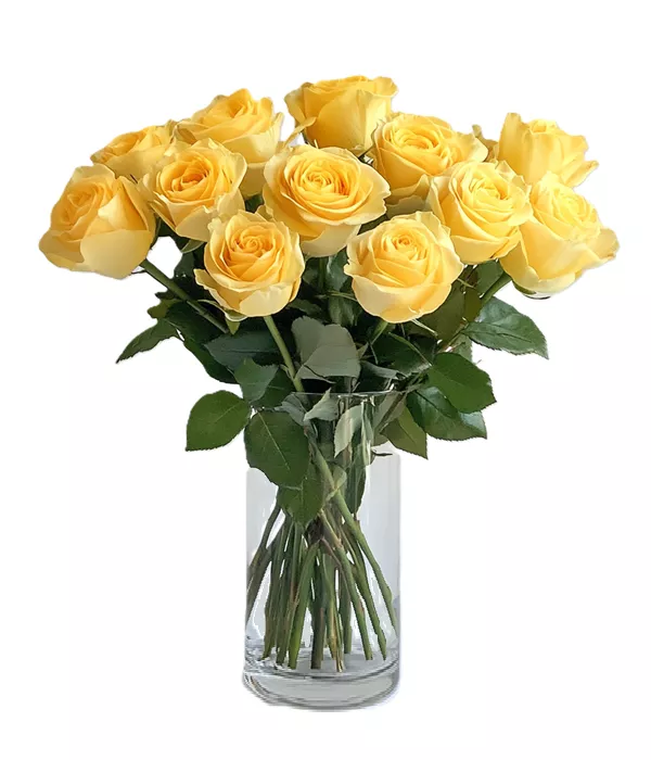 One Dozen Long Stemmed Yellow Roses
