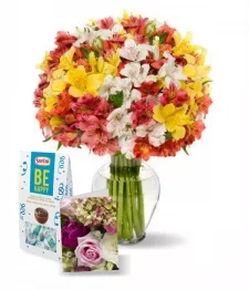 100 fleurs d'Alstroemeria II