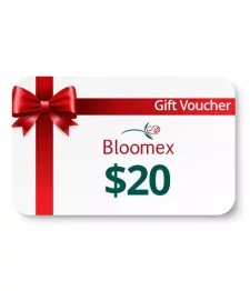 $20 Voucher