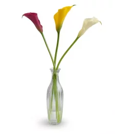 3 Lilies Assorted in Bud Vase