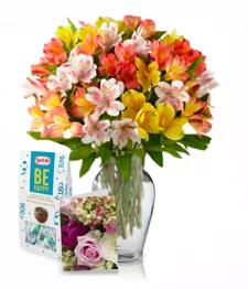 50 fleurs d'alstroémère II
