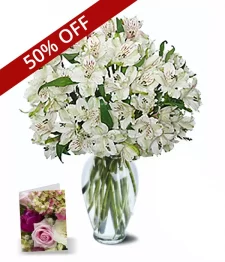 50 Blooms of Easter Alstroemeria I