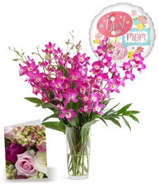 100 fleurs d'orchidées pour la fête des mères II