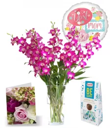 100 fleurs d'orchidées pour la fête des mères IV