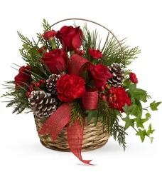 Gloire de Noël