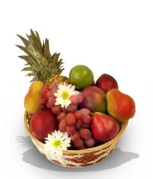 Récolte de fruits