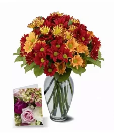 50 Blooms of Autumn