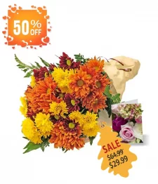 Collection de Fleurs d'automne