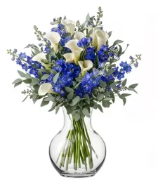 Blue and White Joy