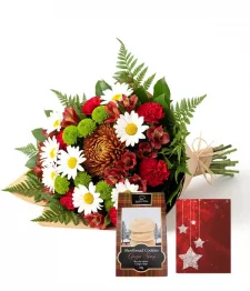 Collection du Concepteur de Noël III