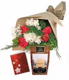 Christmas Designer Collection I