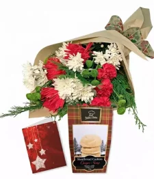 Christmas Designer Collection II