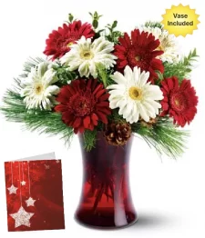 Bouquet d'étoile de Noël