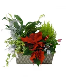 Panier de jardinière Seasons Greetings