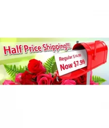 Half Price Delivery