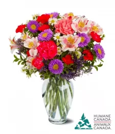 Humane Canada Collection I