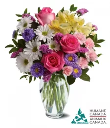 Humane Canada Collection II