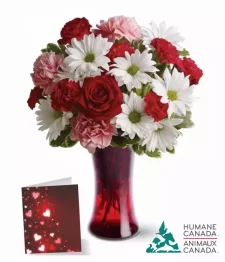 Humane Canada Collection III