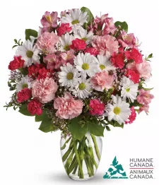 Humane Canada Collection IV