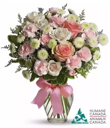 Humane Canada Collection V