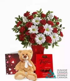 Humane Canada Collection VI