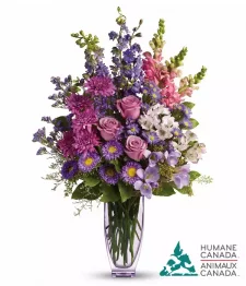 Humane Canada Collection VII